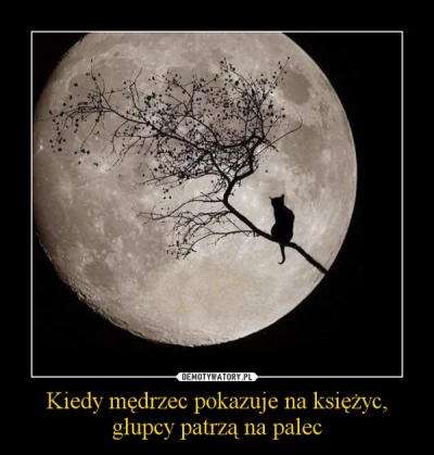 wrrior - @przeciwko78: no tym razem zarypał stare przysłowie. I to już na okładce.