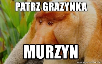 nieocenzurowany88 - @Radek41 : a co to ma za znaczenie czy dla czarnego czy dla białe...