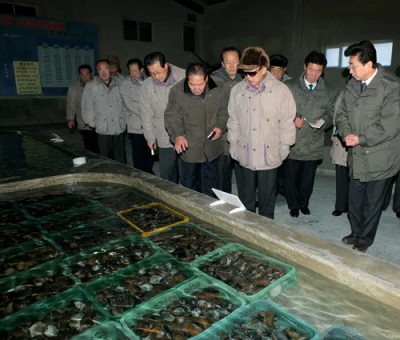 CKNorek - @lewoprawo: @misiauo: przypominam o stronie KIM JONG-IL LOOKING AT THINGS.