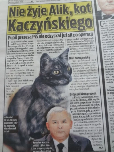 kuba70 - @kar-tofel: Alik zdechł lata temu, a prezes jest prawdziwą kocią mamą i ma i...