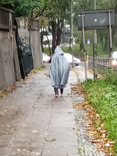 ignore48 - Ekskluzywne zdjęcia Gandalfa Szarego podczas przechadzki ulicami #szczecin...