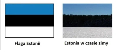 Tomus1990 - Teraz już wiecie skąd się wzięły Estońskie barwy :) 
#ciekawostki