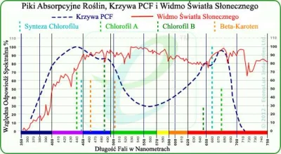 Niewiemja - @Kemel: Kolory którymi "żywi" sie roślina masz dwa, czerwony czyli w żaró...