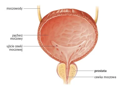 AnonimoweMirkoWyznania - #anonimowemirkowyznania 
#prostata #zdrowie #medycyna #pytan...