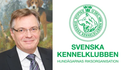 projektjutra - Szwedzki Związek Kynologiczny (Svenska Kennelklubben)- logo oraz jego ...