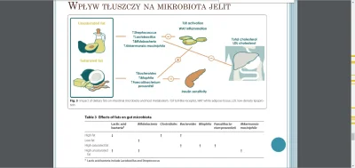 NooB1980 - O nie, bakterie Streptococcus oraz roslinne antyoksydanty nie uchronily ch...