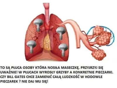 Gacula - Ach ci Antymaseczkowcy ( ͡° ͜ʖ ͡°)
#koronawirus #covid19