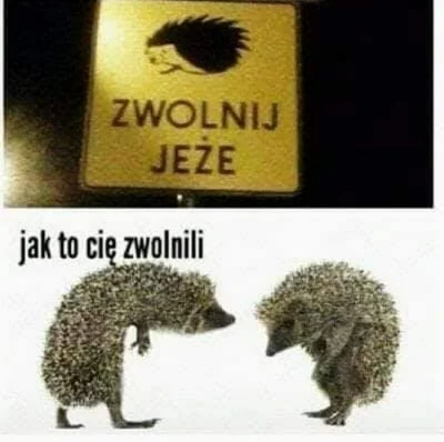 illa_a - #heheszki #humorobrazkowy
(╯︵╰,)