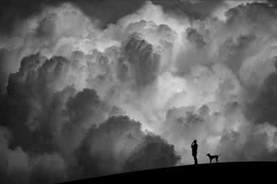 xxii - #fotografia #bw #czarnobiale 

Autor: Hengki Lee
SPOILER
SPOILER
SPOILER
...