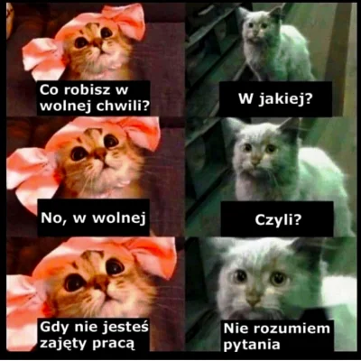 DzonySiara - #humorobrazkowy 
#koty
