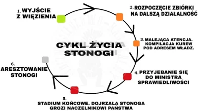 Willy666 - @Chlebek_Pyszny: czyli standardowo, etap 2