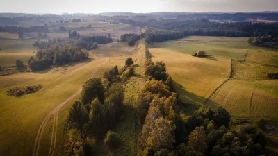 SzaloneWalizki - Jesienią niekoniecznie trzeba zaszywać się z książką pod kocem. Osta...