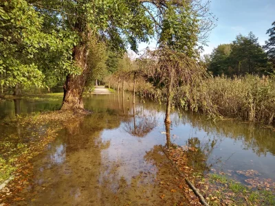 plaski - #wroclaw Park Wschodni się zalał