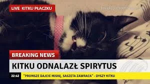 illneverfallinlove - Breaking news
#heheszki #memy