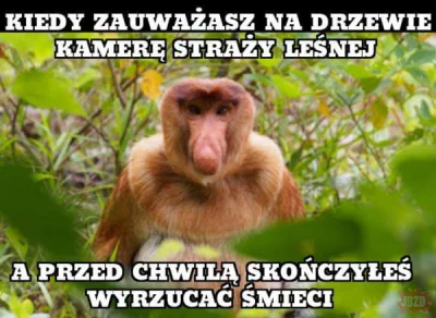 chosenon3 - #heheszki #humorobrazkowy #nosaczsundajski