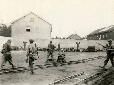 myrmekochoria - Egzekucja żołnierzy Waffen SS po wyzwoleniu Dachau, 29 kwietnia 1945....