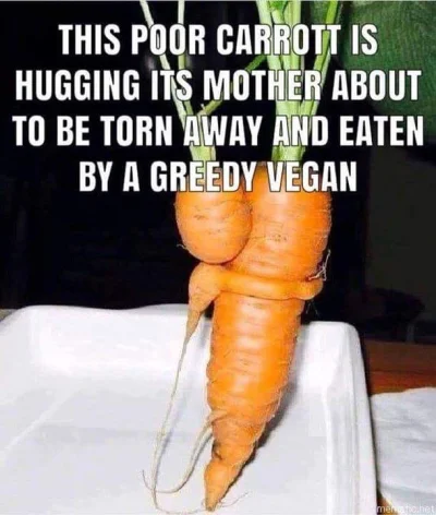 nobrainer - Vegans stop killing little carrot

#heheszki #weganizm #bekazwegetarian