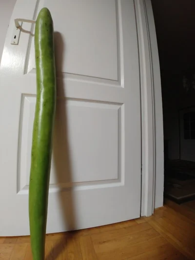 Intergal - Mirki, może ktoś wie co to za warzywo? 1,5 m
#warzywa #zagadka #pytanie #...