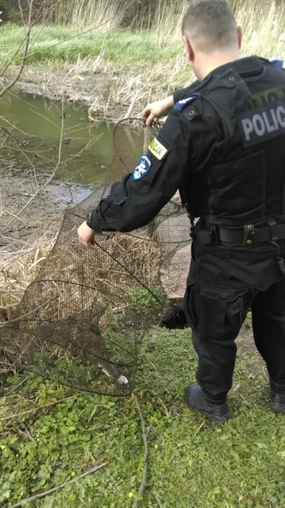 tojest_mojpesel - Będąc Nad jeziorem, policja zatrzymała Mnie niosącego siatkę z ryba...