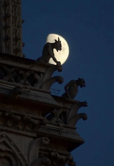 sropo - Gargulce spoglądające nocą z katedry Notre Dame w Paryżu
___________________...