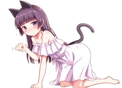 Azur88 - #randomanimeshit #anime #oreimo #rurigokou #nekomimi #kemonomimi

@BlackReve...