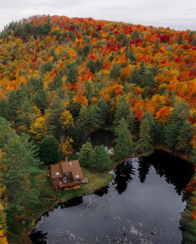 Castellano - Vermont. USA
foto: kylefinndempsey
#fotografia #earthporn #usa #castel...