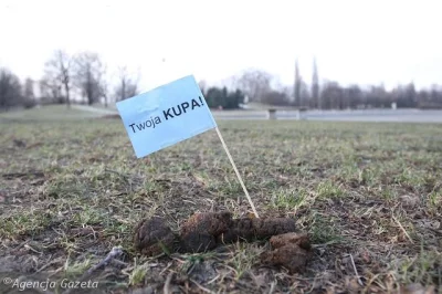 a-lexis - Tego jeszcze nie grali. "Sprzątamy po psach w torebki magazynujemy i na pro...