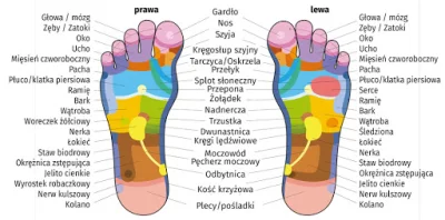 andree2012 - Refleksologia stóp. Według Medycyny Chińskiej to doskonały sposób na rel...