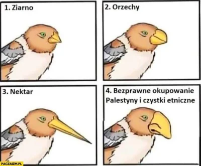 lurkujacy