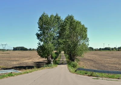 PrzewodniG - Wyprawa na Żuławy Gdańskie

Korzystając z pięknego tegorocznego lata, ...