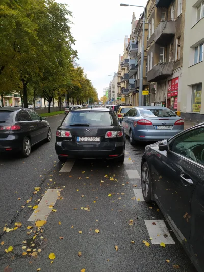 Czauczesko - Nie pierwsza taka sytuacja w tym miejscu, stoi sobie beztrosko na pasie ...