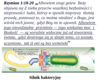 bioslawek - > To, że istnieje jakiś projektant, ma inne poglądy niż istota, którą stw...