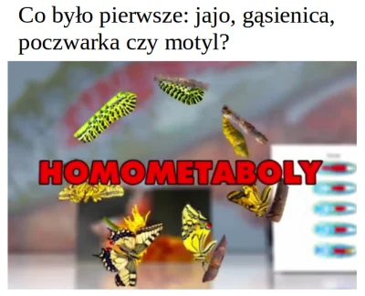 bioslawek - > To, że istnieje jakiś projektant, ma inne poglądy niż istota, którą stw...