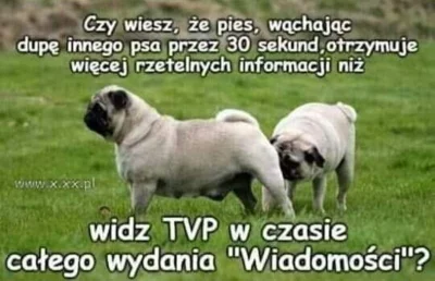 siedzenakoniu - ( ͡° ͜ʖ ͡°)
#pis #bekazpisu #tvpis #humorobrazkowy #heheszki