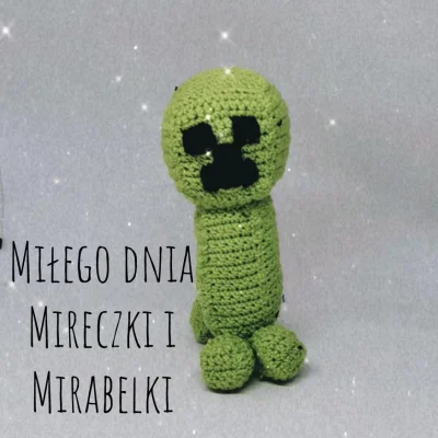 N.....A - Creeperek życzy Wam miłego dnia
♥️♥️♥️

#minecraft #gry #handmade #druci...