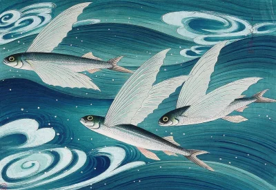 Borealny - Bakufu Ohno (Japanese, 1888 - 1976),
Flying Fish, 1938.
#malarstwo #obrazy...