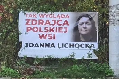 olito - *** * #lichocka #joannalichocka #bekazpisu