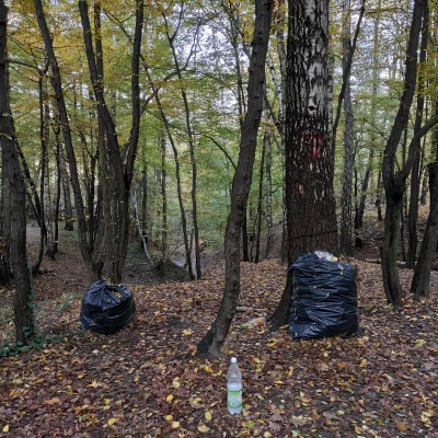 cochese - Kto zabrał się za sprzątanie Lasku Krzyszkowickiego? (ʘ‿ʘ) Czyżby jakaś eki...