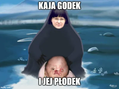 mamjuzkonto - dobranoc
#protest #aborcja #kajagodek #humorobrazkowy