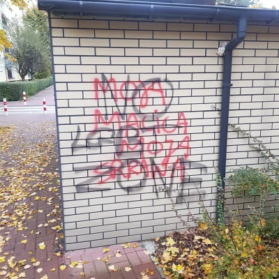 umysl_biedaka - Przez protesty rozpoczęły się wojny gangów w Warszawie ( ͡° ͜ʖ ͡°) #p...