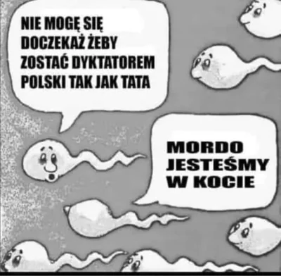 korfanty89 - Mnie śmieszy :)
#humorobrazkowy