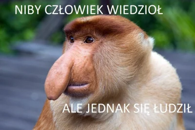 krzynuwek - @Morritz: