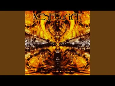 pekas - #metal #meshuggah #djent #muzyka #progressivemetal

Meshuggah - Perpetual B...