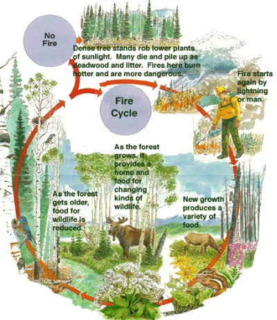 jesteslewakiemprawaku - ludziom na wiosnę tez intuicja podpowiada że ogólnie w przyro...