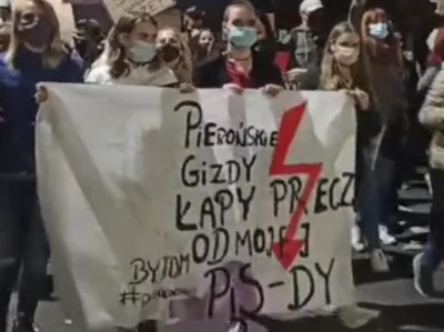PieronWoBistDu - XD #bytom #slask #polska #protest #slonskogodka