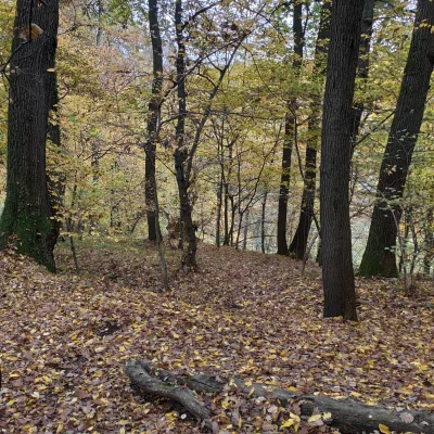 cochese - Oto mój dzisiejszy przepis na wyjście ze strefy komfortu:
1. Pracuj od ran...