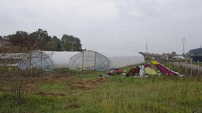 a.....c - Po lewej szpitale po prawej kwiaty na grobach.