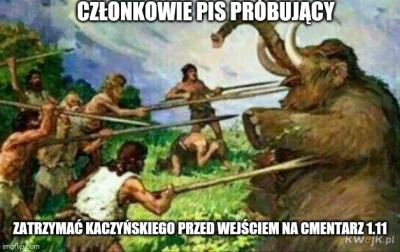 Havox - #humorobrazkowy #heheszki #polska #koronawirus