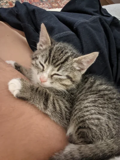 odwrocone_ytrewq - albo jednak spanko ( ͡° ʖ̯ ͡°)