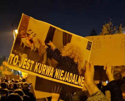 Radek41 - TOP5 HASEŁ Z PROTESTU:

1) Protesty się odbywają bo nie organizuje ich Sa...